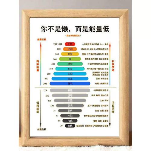 能量之镜 解读霍金斯能量等级，守护心灵场域